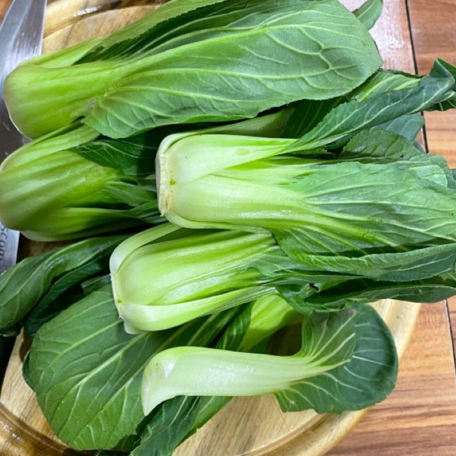 500+ Green Stem Pak Choi Seeds, Bok Choy Cabbage Seeds, Leafy Green Vegetable, Suitable for Home Garden Planting, Outdoor Growing Use