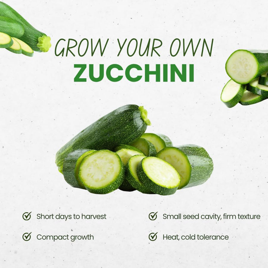 Set 50 Seeds Zucchini Seeds for Planting, Dark Green Zucchini Seeds, Summer Squash Seed for Indoor Outdoor Planting