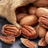 Pecan Tree Live Plant, 10-12 Inches Tall, Edible Nut Tree, Pecan Tree Seedling for Outdoor Planting, Ready to Grow