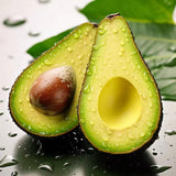 Avocado Tree Live Plant, Green Avocados Trees for Planting Outside, 14-20" in Tall, Zones 9-11, No CA