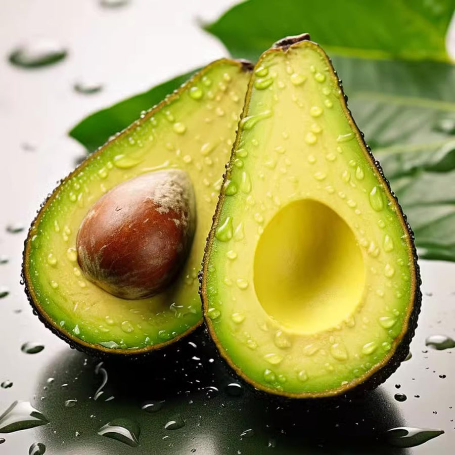 Avocado Tree Live Plant, Green Avocados Trees for Planting Outside, 14-20" in Tall, Zones 9-11, No CA