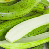 Set 50 Luffa Seed for Planting, Loofah Gourd Seed, Fast Growing Vine for Outdoor Garden, Raised Beds and Containers