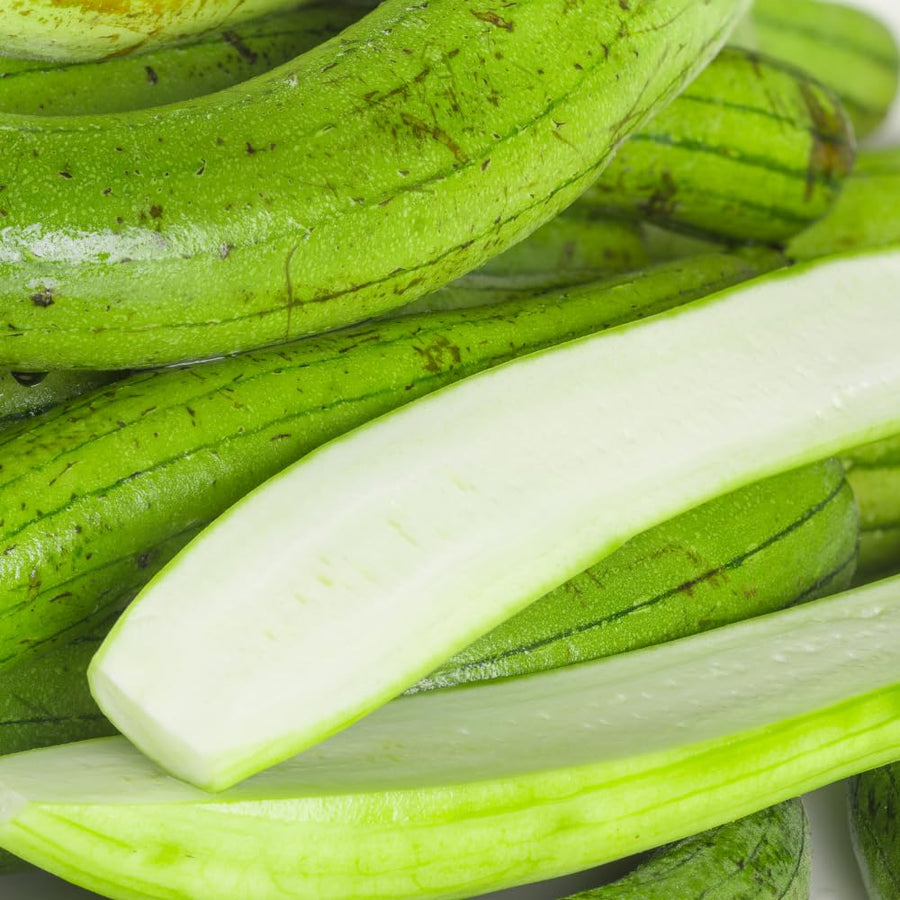 Set 50 Luffa Seed for Planting, Loofah Gourd Seed, Fast Growing Vine for Outdoor Garden, Raised Beds and Containers