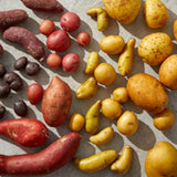 High Yielding Mixed Potato Tubers, 1 Pound of Russet, Yukon, Red Potatoes Plants Bulbs for Outdoor Growing,Vegetables Heirloom Potato Seeds Live Tuber for Home Garden