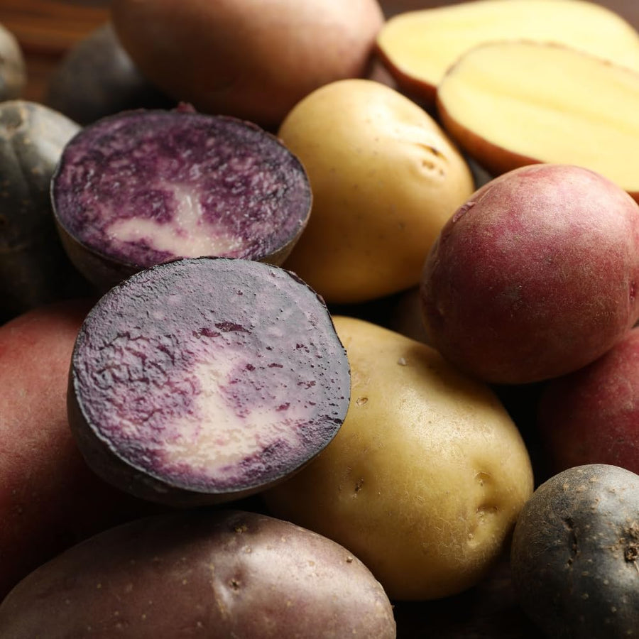 2 LB Mixed Potato Tubers, Assorted Potato for Outdoor Garden and Container Growing, Mix Potatoes Bulbs Tubers Vegetable for Backyard Garden, Easy to Plant