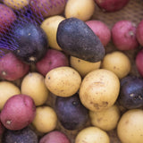 2 LB Mixed Potato Tubers, Assorted Potato for Outdoor Garden and Container Growing, Mix Potatoes Bulbs Tubers Vegetable for Backyard Garden, Easy to Plant