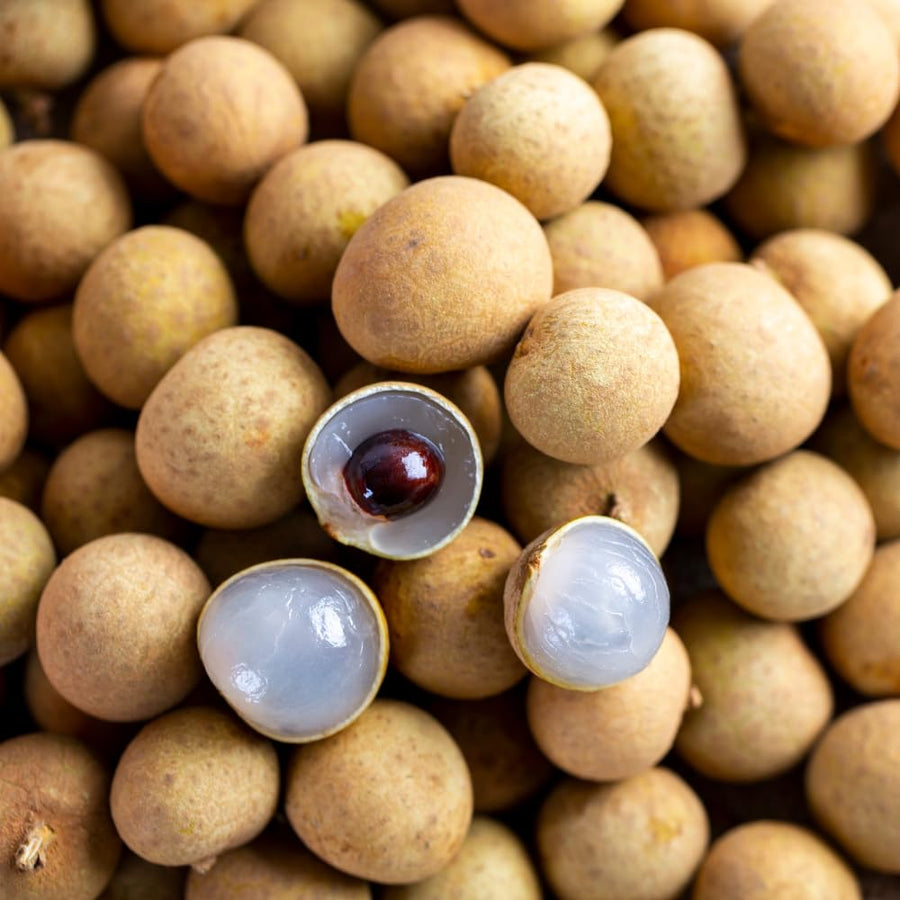 Sweet Longan Plant Live, 7-10 Inches, Longan Tropical Fruit Tree Well Rooted, Outdoor and Container Growing