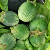 Pack of 100 Green Round Eggplant Seeds for Planting, Assorted Eggplant Vegetable Seeds for Outdoor Gardening, Suitable for Home Garden Beds, Raised Beds, or Containers