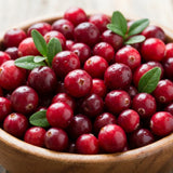 Cranberry Plant, Cranberry Seedling for Planting, 2-5 Inc Tall, Sweet Berries for Outdoor Garden, Container Growing