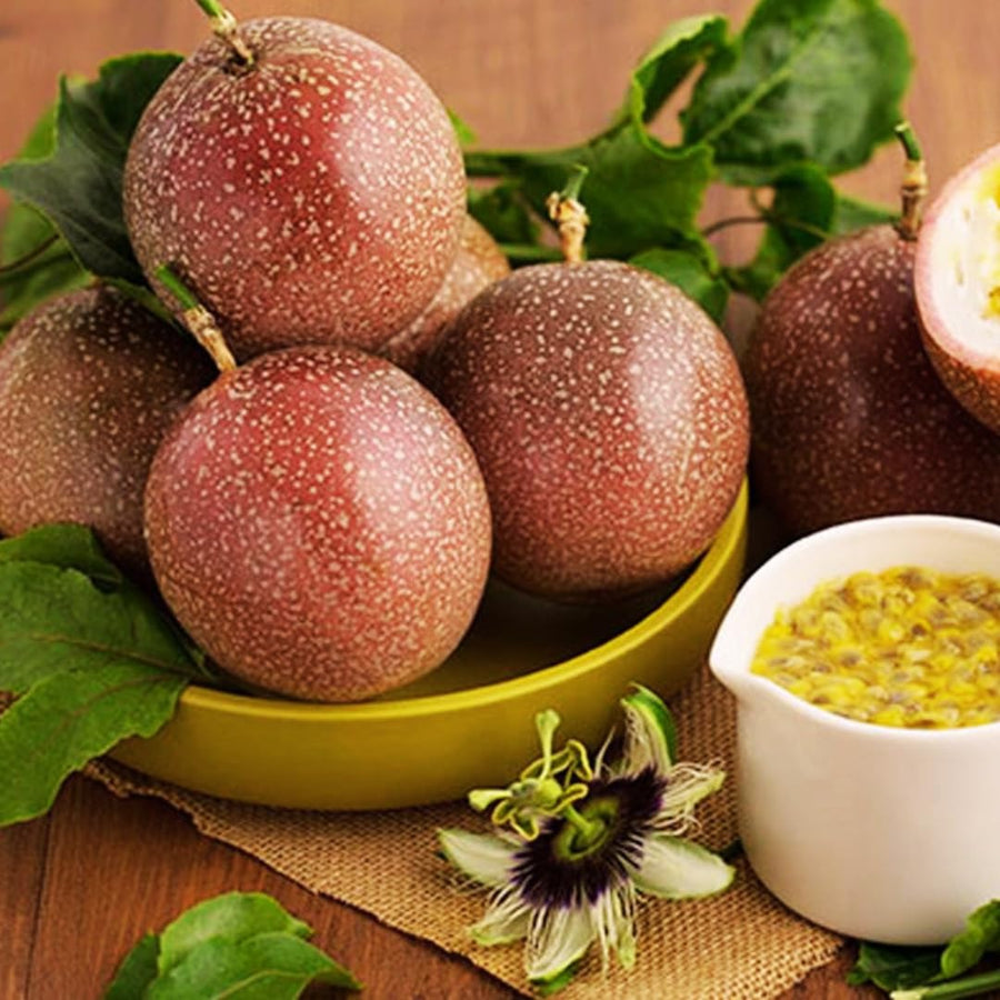 Live Passionfruit Plant Vine - 6 to 8 Inches Tall, Hardy and Fruit-Bearing, Purple Passion Fruit Tree Live Plant, for Planting Home Gardens and Containers
