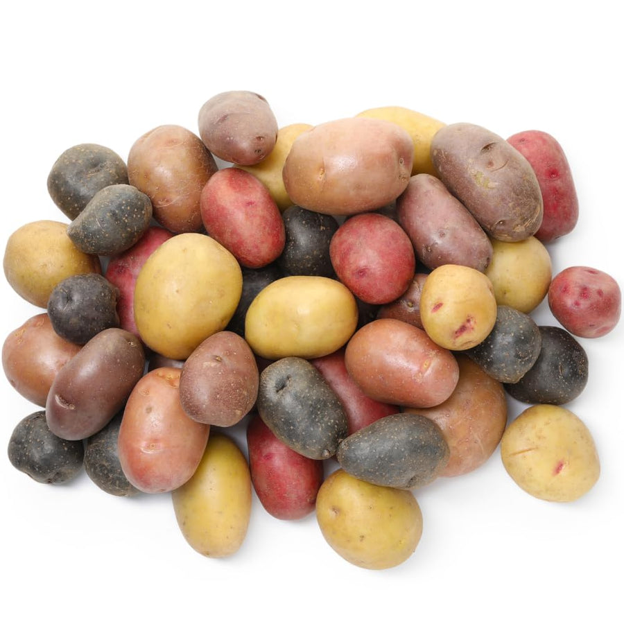 2 LB Mixed Potato Tubers, Assorted Potato for Outdoor Garden and Container Growing, Mix Potatoes Bulbs Tubers Vegetable for Backyard Garden, Easy to Plant
