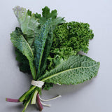 2 Kale Plants Live, Vegetable Live Plant, Kale Live Plant Pot, 3 to 5 Inc Tall, Perennial Hardy Vegetable Plants