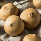 96 Jicama Seeds for Planting, Heirloom Jicama Seed, Strong Climbing Plant, Vegetable Garden