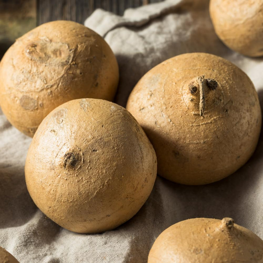 96 Jicama Seeds for Planting, Heirloom Jicama Seed, Strong Climbing Plant, Vegetable Garden