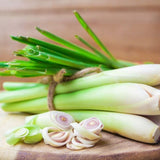 Pack 800 Lemongrass Seeds for Indoor or Outdoor Growing, Fragrant Culinary Seeds for Planting