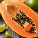 Set 3 Papaya Tree Live Plant, Papaya Plant Live, 4-7 Inc Tall, Fast Growing Fruit Plant for Containers and Outdoor Garden
