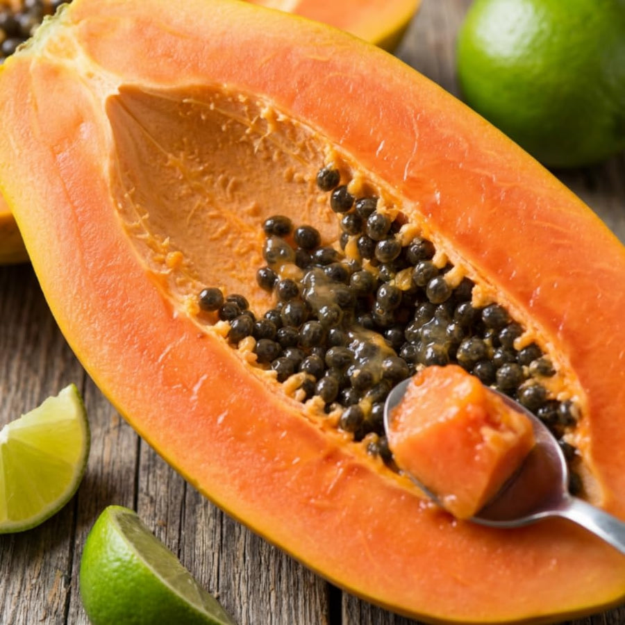 Set 3 Papaya Tree Live Plant, Papaya Plant Live, 4-7 Inc Tall, Fast Growing Fruit Plant for Containers and Outdoor Garden