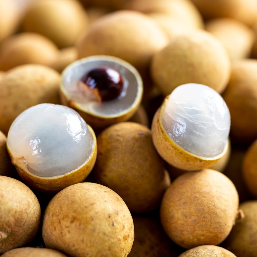 Longan Tree Live Plant, Sweet Tropical Fruit Tree Starter 4-7 Inch, Outdoor and Container Growing