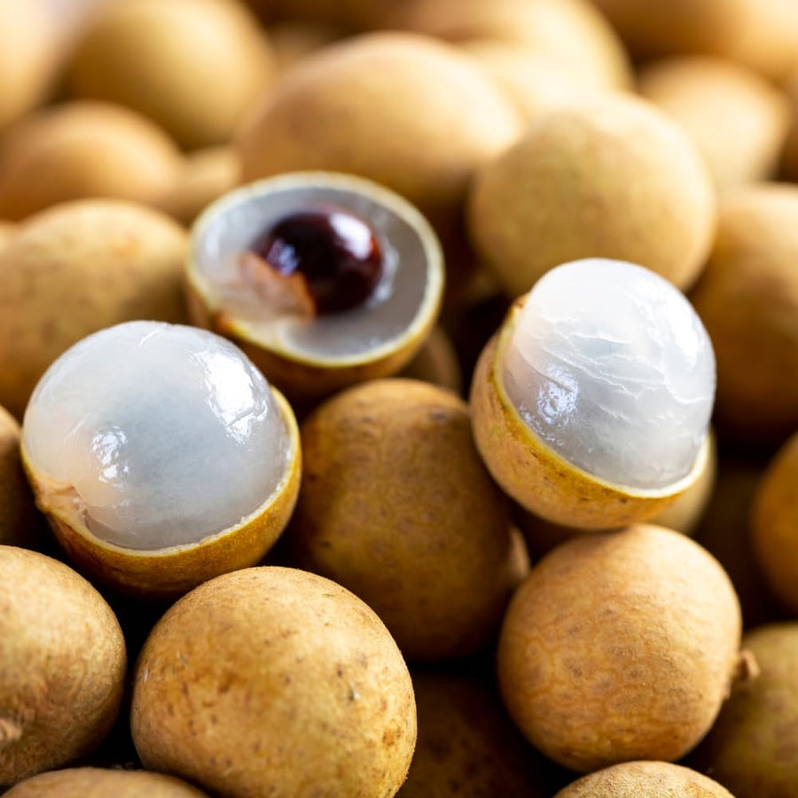 Longan Tree Live Plant, Sweet Tropical Fruit Tree Starter 4-7 Inch, Outdoor and Container Growing
