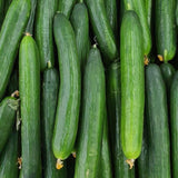 60 Smooth Cucumber Seeds for Planting, Cucumber Vegetable Seeds for Outdoor Growing