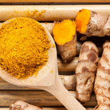 10 Yellow Turmeric Roots for Planting, Curcuma Turmeric Rhizomes, Live Curcuma Roots, Hardy Perennial Herb Plants