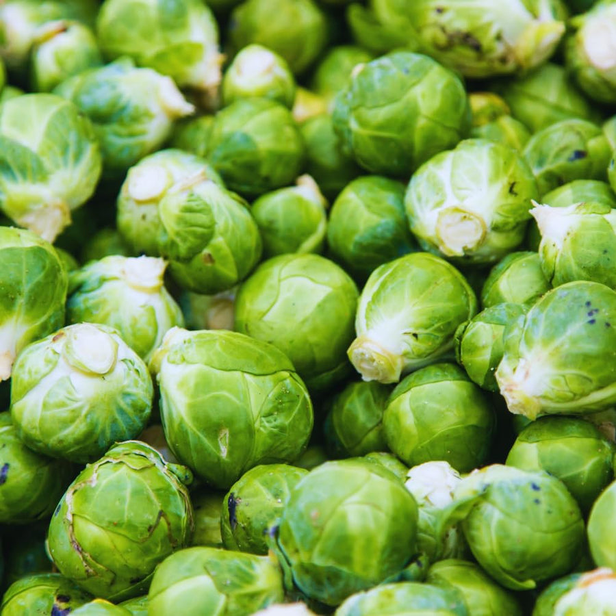 2 Brussel Sprouts Plants Live, Vegetable Live Plant, 4 Inc Pot, Brussel Sprouts Live Plant for Gardening