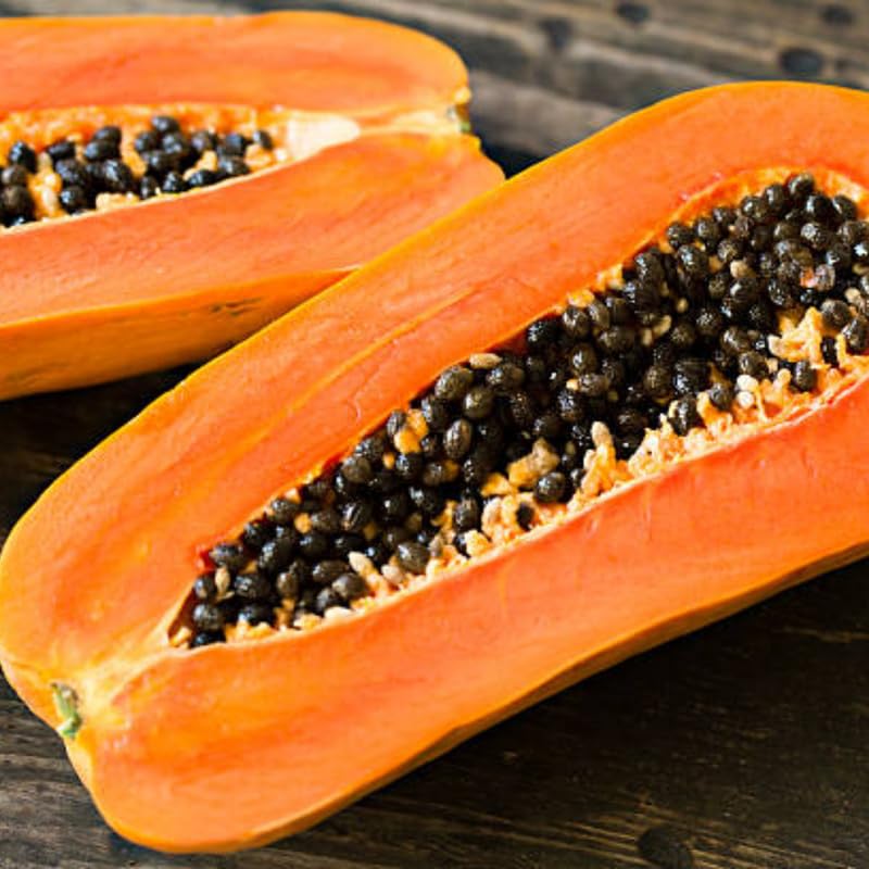 1 Papaya Plant Live Size 7-10" in 4in Pot, Perfect for Containers, Tropical Fruit for Small Spaces, No CA