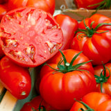 400 Beefsteak Tomato Seeds for Planting, Tomato Seeds, Heirloom Vegetable Seed, Sweet Tomatoes for Container and Outdoor Planting