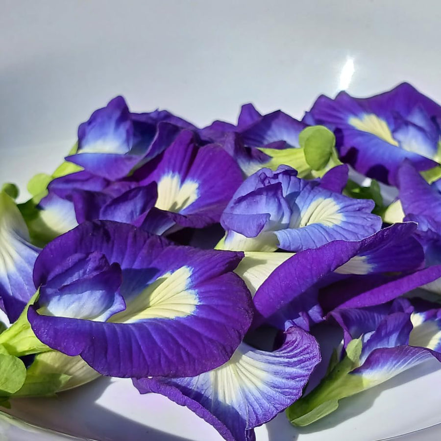 Set of 50 Butterfly Pea Seeds, Butterfly Pea Flower Seeds, Blue Flower for Planting