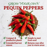 Set 200 Pequin Chili Pepper Seeds, Hot Pepper Seeds for Planting, Heirloom Pequin Peppers Plant for Indoor Outdoor Planting