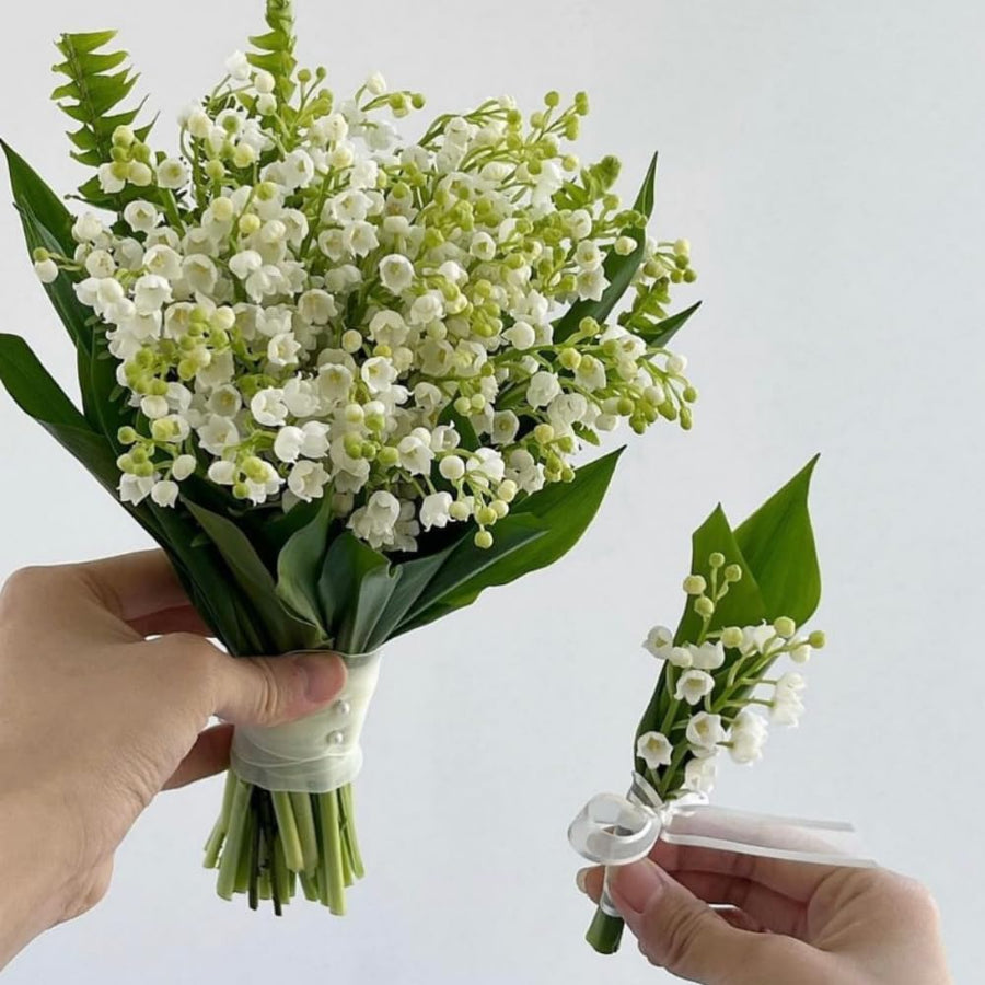 10 Lily of The Valley Roots, Perennial Lily Flower Plant, Lily of The Valley Rhizomes Garden Indoor Outdoor