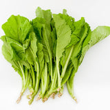 2000 Florida Broadleaf Mustard Seeds, Mustard Green Seeds, Fast Growing Heirloom Vegetable Seed for Garden and Containers