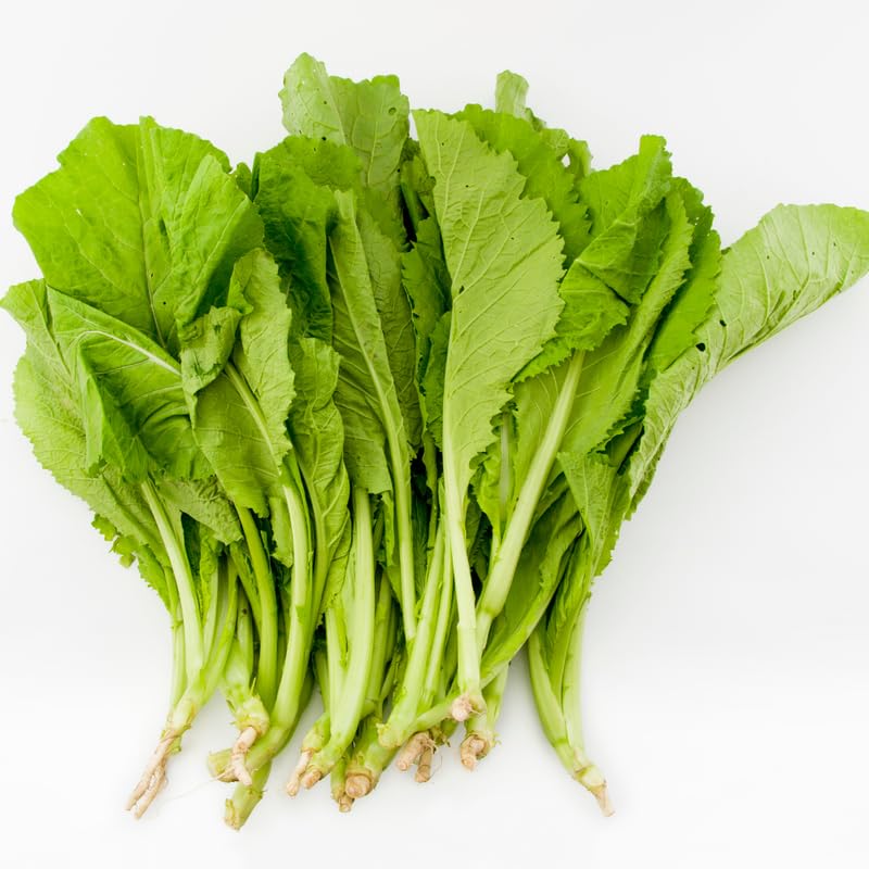 2000 Florida Broadleaf Mustard Seeds, Mustard Green Seeds, Fast Growing Heirloom Vegetable Seed for Garden and Containers