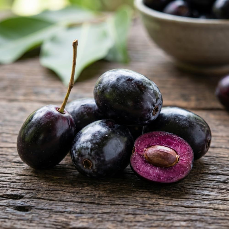 Black Plum Tree Live Plant in 4 Inch Pot, Black Fruit Tree 4-7 Inches Tall, Well Rooted Tropical Fruit Plant for Growing