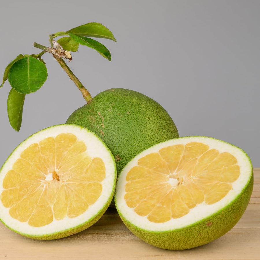 3 Years Old White Pomelo Grapefruit Tree Live Plant, High Yield, 3 Feet Tall Grafted Citrus Tree, Big White Pumelo Fruit for Zones 9-11
