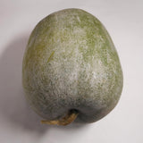 60 Wax Gourd Winter Melon Round Seeds, Wax Gourd Seed, Vegetable Seeds for Outdoor Garden