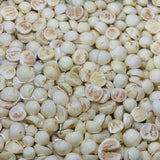 Pack of 100 White Round Eggplant Seeds for Planting, Assorted Eggplant Vegetable Seeds for Outdoor Gardening, Suitable for Home Garden Beds, Raised Beds, or Containers