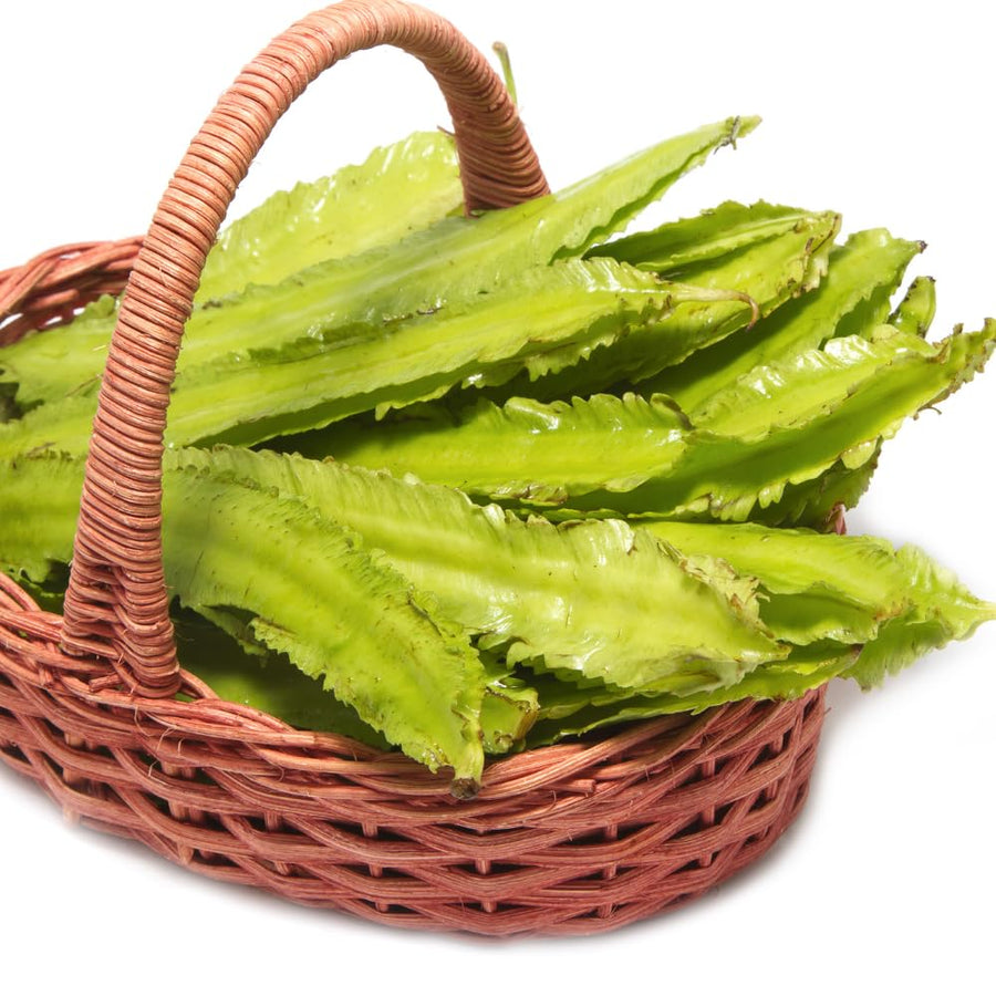 50 Winged Bean Seeds for Planting, Vegetable Vine Plant Seeds Gardening Outdoor