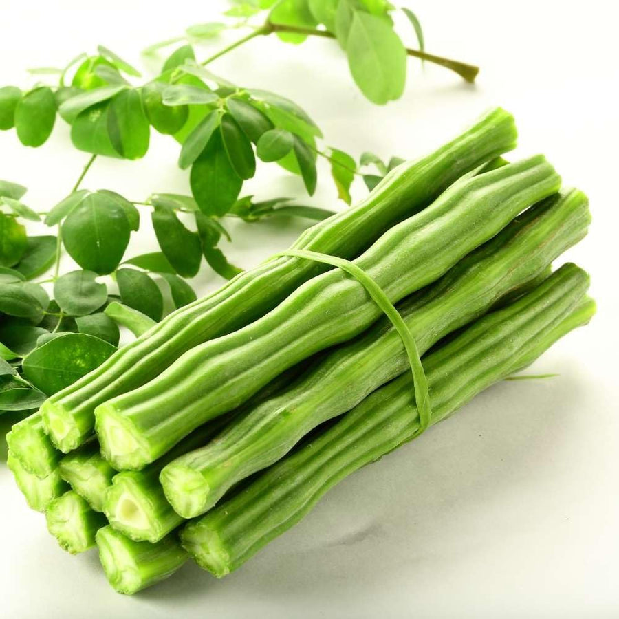Moringa Tree Live Seedling, 6-8” Tall, 4" Pot, Malunggay Drumstick Tree Plant for Outdoor or Container Growing
