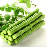 Moringa Tree Live Plant, 6-8 Inches Tall, Well-Rooted Moringa Oleifera Seedling, Fast-Growing Tropical Tree