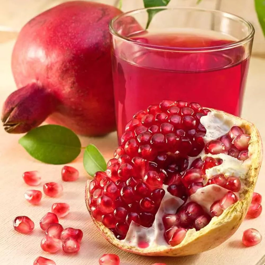 Dwarf Pomegranate Tree Live Plant, 12-16" Tall, Half Gallon Pot, Red Pomegranate Plant Live, Sweet Pomegranate Fruit Tree