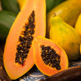 Papaya Tree Plant Live for Planting, Papaya Fruit Plant, 4 to 6 Inches Tall, Tropical Fruit Tree for Outdoor Growing and Container Gardening