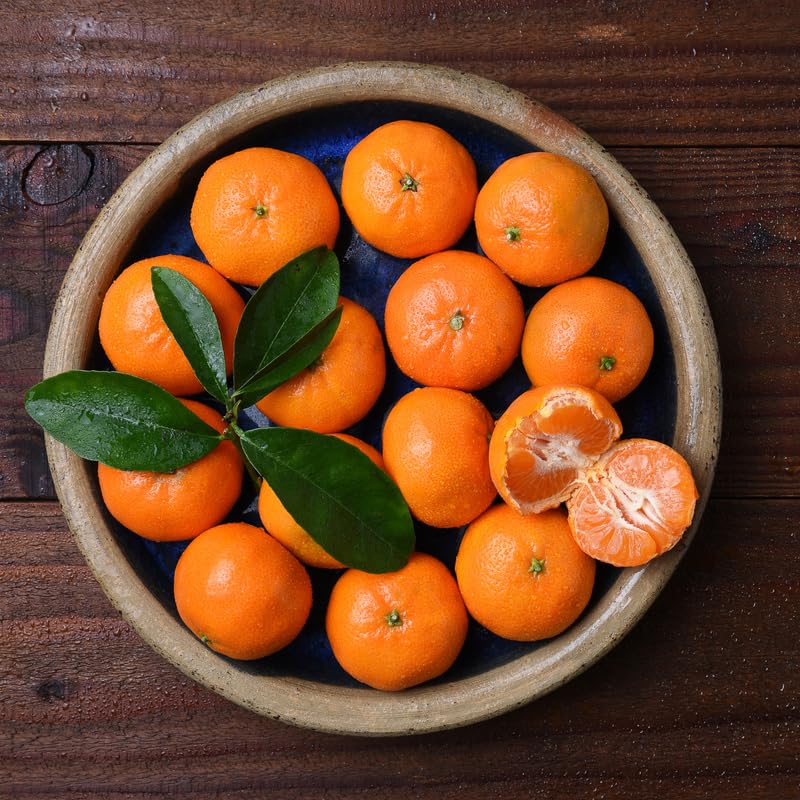 Satsuma Mandarin Orange Tree, 3 Ft Grafted Tree, Citrus Mandarin Orange, Sweet Fruits