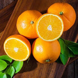 Grafted Sweet Orange Tree Live, 3 to 4 Feet Tall Citrus Fruit Tree for Outdoor Planting