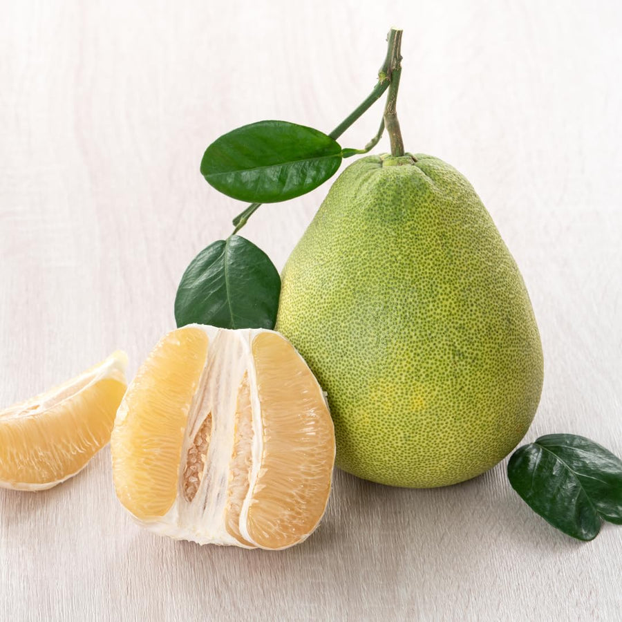 3 Years Old White Pomelo Grapefruit Tree Live Plant, High Yield, 3 Feet Tall Grafted Citrus Tree, Big White Pumelo Fruit for Zones 9-11