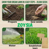 Set 20000 Zoysia Grass Seeds, Zoysia Grass Seeds for Lawn, Low Maintenance, Drought Tolerant Lawns for Home and Yards