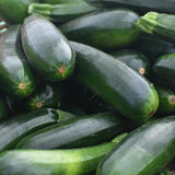 Set of 50 Dark Green Zucchini Seeds, Zucchini Vegetable Plant, Fresh Summer Squash for Outdor Gardening