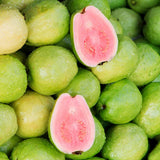 Pink Guava Tree Live, 8-10 Inc Tall Tropical Fruit Tree, Sweet Guava Plant for Outdoor or Indoor Planting, Well-Rooted