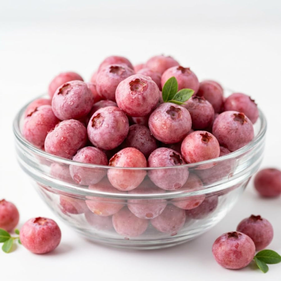 Blueberry Plant Live for Planting, Pink Blueberry Bush, Well Rooted, 6-8 Inc Tall, Berry Shrub for Edible Gardens or Landscapes