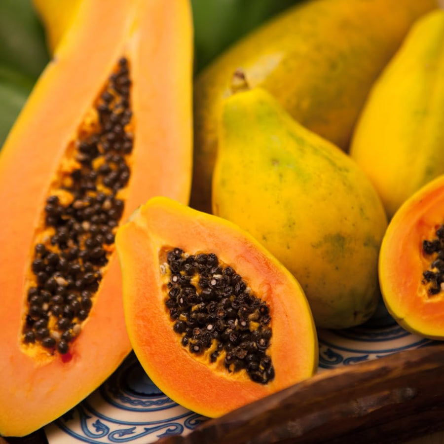 Papaya Tree Live Plant, Tropical Papaya Fruit Tree, 4-8 Inches Tall, Sweet Plant Starter for Outdoor Garden
